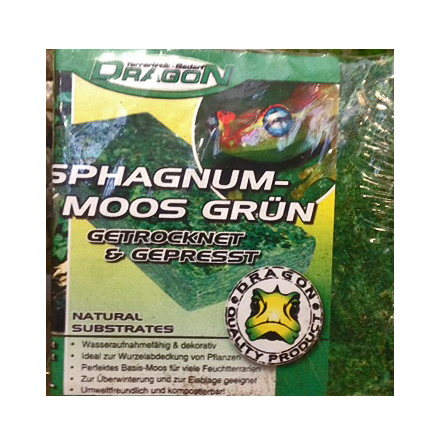 Grön Sphagnum mossa