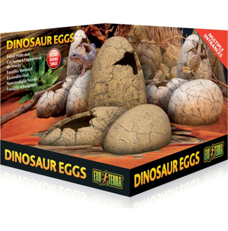 Grotta Dinosurie ägg