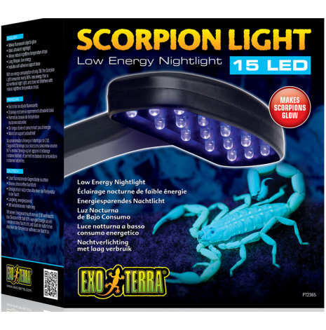 Scorpion Lampa