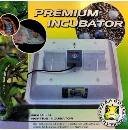 Dragon Premium incubator