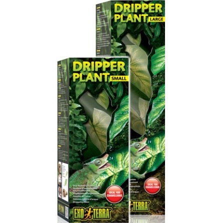 Dripper Plant S