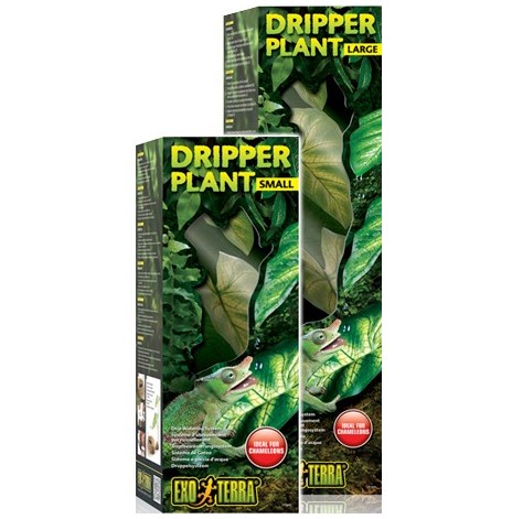 Dripper Plant L